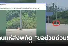 กันจอมพลังช่วยสู้ ช่วยหญิงเกาะเสาไฟ