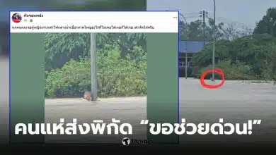 กันจอมพลังช่วยสู้ ช่วยหญิงเกาะเสาไฟ