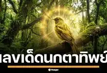 เลขเด็ด &quot;นกตาทิพย์&quot; งวด 1/12/68 เปิดโพยแบบชัดๆ เน้น 2 วิ่งคู่ฟัด จับคู่เด็ด