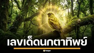เลขเด็ด "นกตาทิพย์" งวด 1/12/68 เปิดโพยแบบชัดๆ เน้น 2 วิ่งคู่ฟัด จับคู่เด็ด