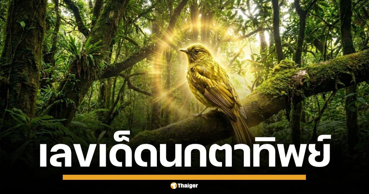 เลขเด็ด "นกตาทิพย์" งวด 1/12/68 เปิดโพยแบบชัดๆ เน้น 2 วิ่งคู่ฟัด จับคู่เด็ด