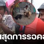 อัปเดตล่าสุด เคสลุงร่ำไห้ ตัดใจทิ้งหมาเพราะน้ำท่วมสูง ลูกสาวเผยพวกเขาได้เจอกันแล้ว