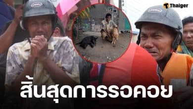 อัปเดตล่าสุด เคสลุงร่ำไห้ ตัดใจทิ้งหมาเพราะน้ำท่วมสูง ลูกสาวเผยพวกเขาได้เจอกันแล้ว