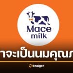รู้จัก Mace Milk นมน้องใหม่ มาแรงมาก ขายล้านขวด ใน 1 ปี