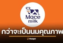 รู้จัก Mace Milk นมน้องใหม่ มาแรงมาก ขายล้านขวด ใน 1 ปี