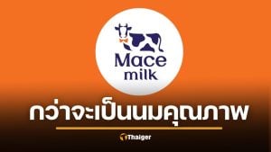 รู้จัก Mace Milk นมน้องใหม่ มาแรงมาก ขายล้านขวด ใน 1 ปี