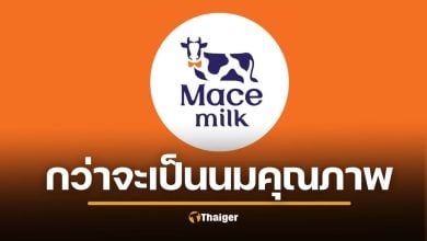 รู้จัก Mace Milk นมน้องใหม่ มาแรงมาก ขายล้านขวด ใน 1 ปี