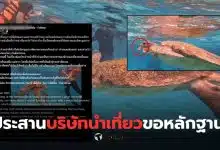 เต่าทะเลกินริชแบนด์ ข่าววันนี้