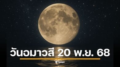 ปิดฤกษ์งามยามดี วันอมาวสี ขอเงินพระจันทร์ 20 พฤศจิกายนนี้ สายมูห้ามพลาดวิธีไหว้เสริมดวงการเงิน ส่องสีเสื้อมงคลและสิ่งที่ห้ามทำเด็ดขาดถ้าไม่อยากขัดลาภตัวเอง