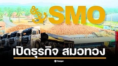ภาพแสดงการผลิตน้ำมันปาล์มจากกลุ่มธุรกิจสมอทองที่มีประสิทธิภาพสูง