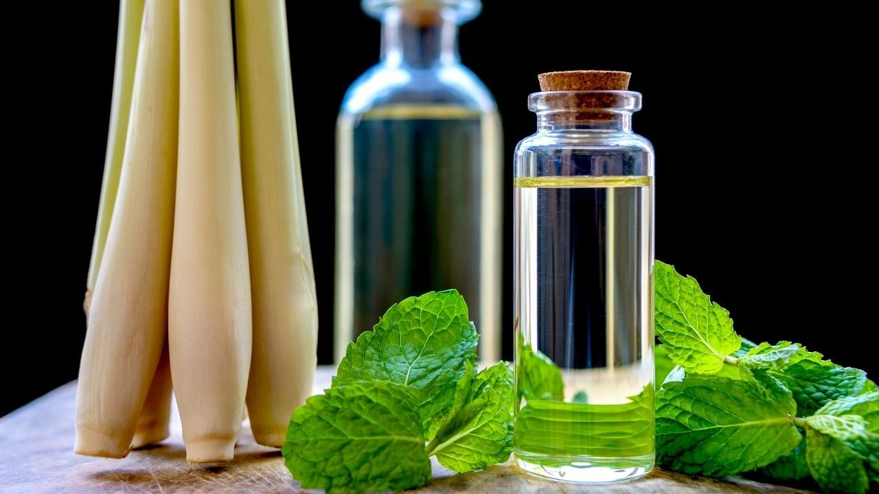 น้ำมันเปปเปอร์มินต์