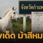 เปิดแนวทาง เลขเด็ด ม้าสีหมอก งวดหวยสัญจร จ.กำแพงเพชร 1 ธ.ค. 68