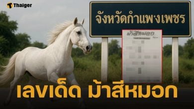 เปิดแนวทาง เลขเด็ด ม้าสีหมอก งวดหวยสัญจร จ.กำแพงเพชร 1 ธ.ค. 68