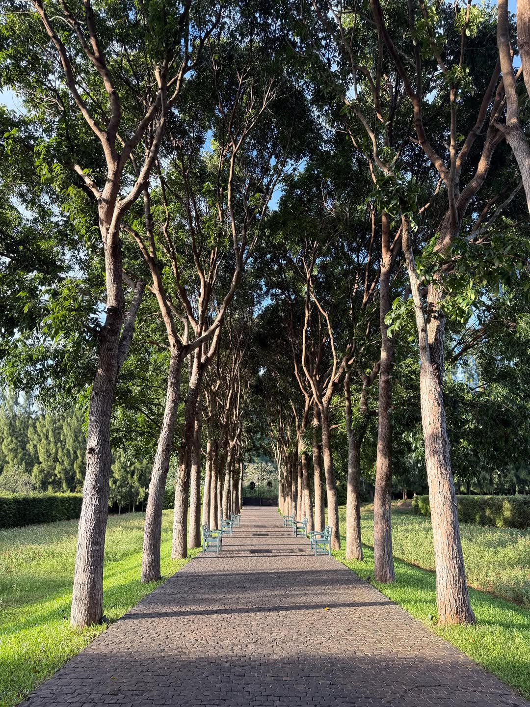 ชาวเน็ตเดาสถานที่แต่งงาน ใหม่ ดาวิกา และ เต๋อ เต๋อ ฉันทวิชช์ - 2