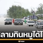 ไขข้อข้องใจ ยามวิกฤต อิสลามกินหมูได้ไหม กรณีไหนบ้างที่อนุโลม เช็กคำตอบที่นี่