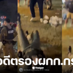 ลูกชายอดีตรอง ผกก