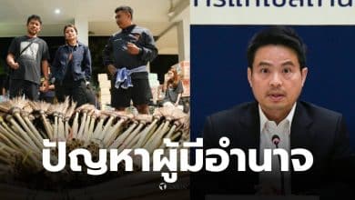 ภราดรลิซ่า ไม้กวาดทางมะพร้าว