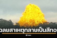 ยอดเขาแหลมในทองผาภูมิเปล่งประกายสีทองอร่ามในช่วงเย็น