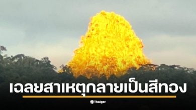 ยอดเขาแหลมในทองผาภูมิเปล่งประกายสีทองอร่ามในช่วงเย็น