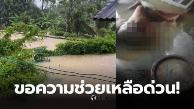 ผู้ป่วยติดเตียงนอกแช่น้ำท่วมสงขลา