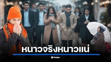 มวลอากาศเย็นจากจีนปะทะไทย 13 พ.ย. 68 ยอดดอยแตะ 10°C ขณะเดียวกัน มรสุมที่ถูกอัดกำลัง โดยอ้อมจากพายุฟงวอง จะทำให้ภาคใต้ฝนชุก และคลื่นลมในอ่าวไทยสูงถึง 2-4 เมตร