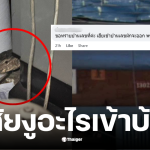 เลขเด็ดสงสัยงูอะไรเข้าบ้าน 16/11/68