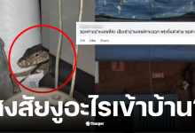 เลขเด็ดสงสัยงูอะไรเข้าบ้าน 16/11/68