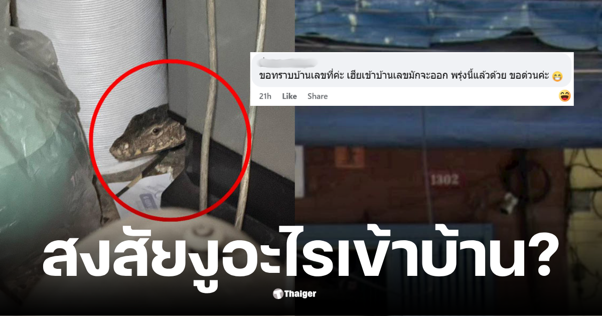 เลขเด็ดสงสัยงูอะไรเข้าบ้าน 16/11/68