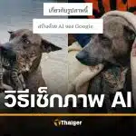 วิธีเช็กรูป AI ง่ายๆ ด้วย Google Gemini เช็กให้ชัวร์ก่อนแชร์