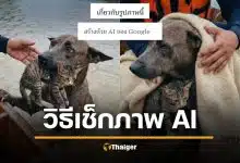 วิธีเช็กรูป AI ง่ายๆ ด้วย Google Gemini เช็กให้ชัวร์ก่อนแชร์