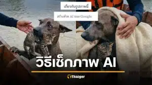 วิธีเช็กรูป AI ง่ายๆ ด้วย Google Gemini เช็กให้ชัวร์ก่อนแชร์