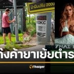 งามไส้! แก๊งรัสเซีย ค้ายาออนไลน์ แปะ QR Code ทั่วเกาะภูเก็ต ไม่กลัวกฎหมาย