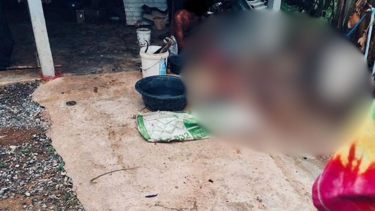 ร่องรอยการชำแหละสุนัขภายในบ้านของชายเจ้าของบ้าน