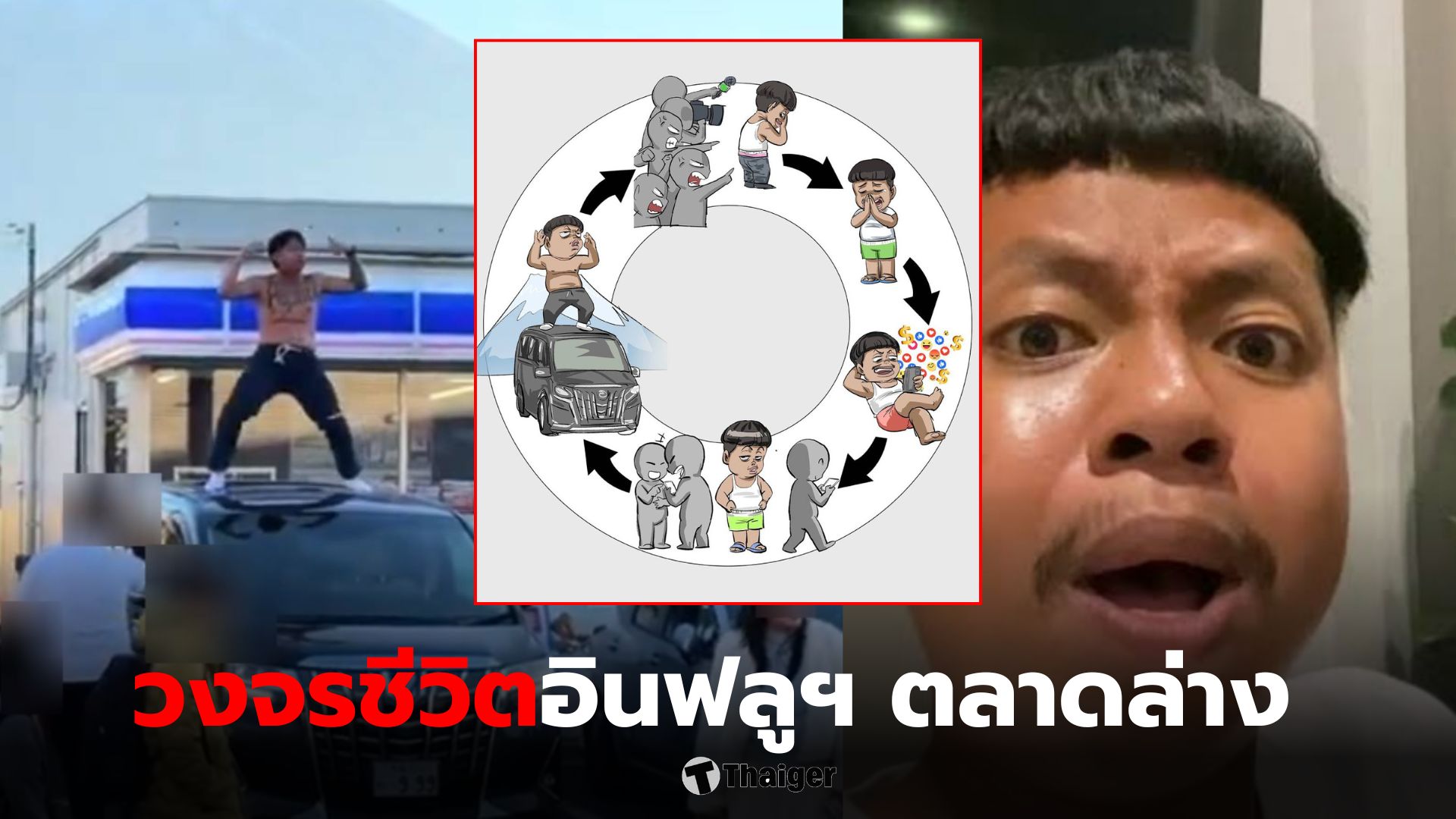 วงจรชีวิตแจ๊กแปปโฮ