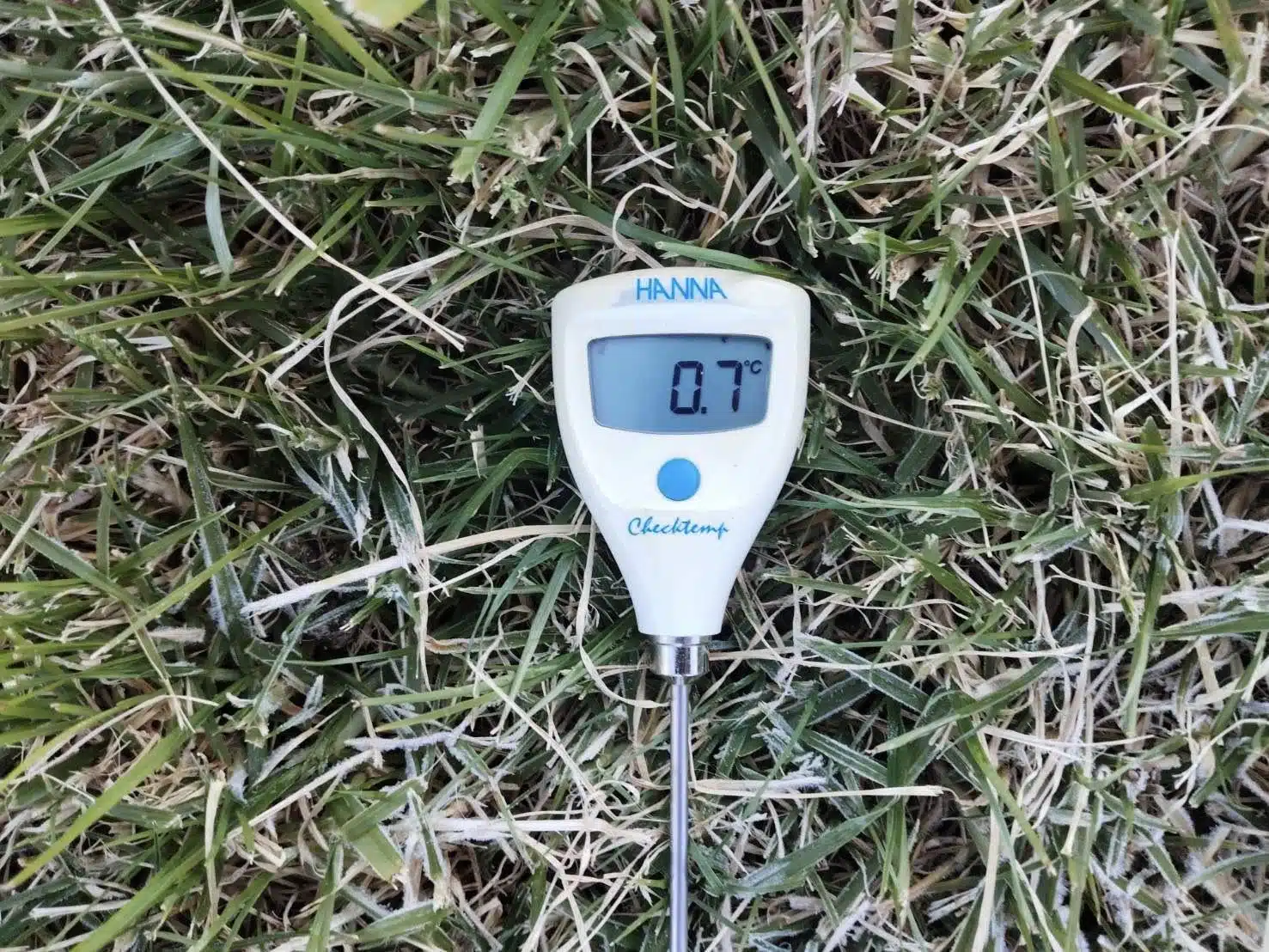 เทอร์โมมิเตอร์ วัดอุณหภูมิยอดหญ้า