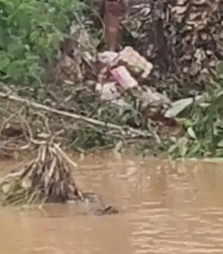 ต๊อด ปิติ ไม่ปล่อยไว้! โผล่คลิปชาวบ้านบุกปล้นคลังเบียร์บุญรอดฯ หาดใหญ่ ช่วงน้ำลด-2