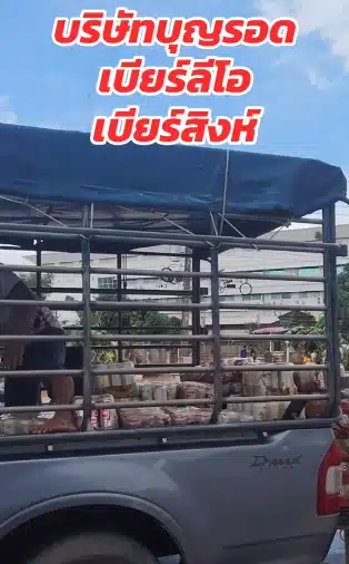 ต๊อด ปิติ ไม่ปล่อยไว้! โผล่คลิปชาวบ้านบุกปล้นคลังเบียร์บุญรอดฯ หาดใหญ่ ช่วงน้ำลด-3