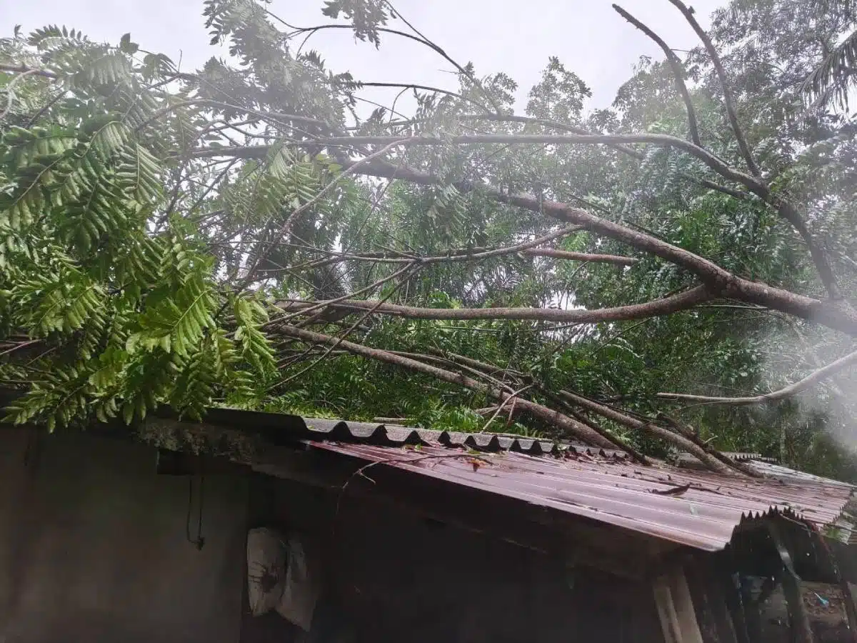 ทหารช่วยน้ำท่วม