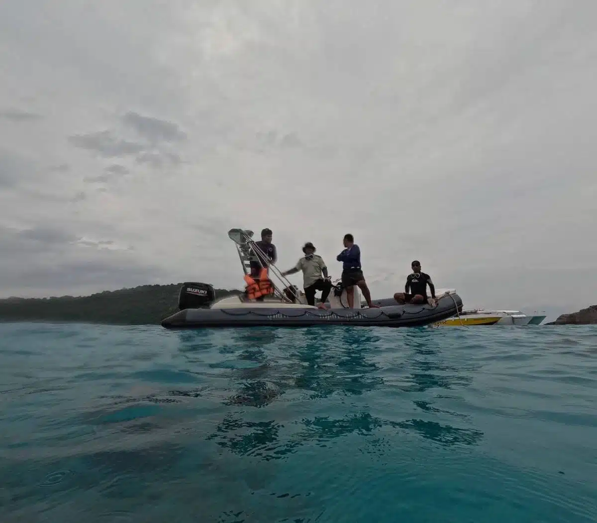 ทีมช่วยเต่าทะเล