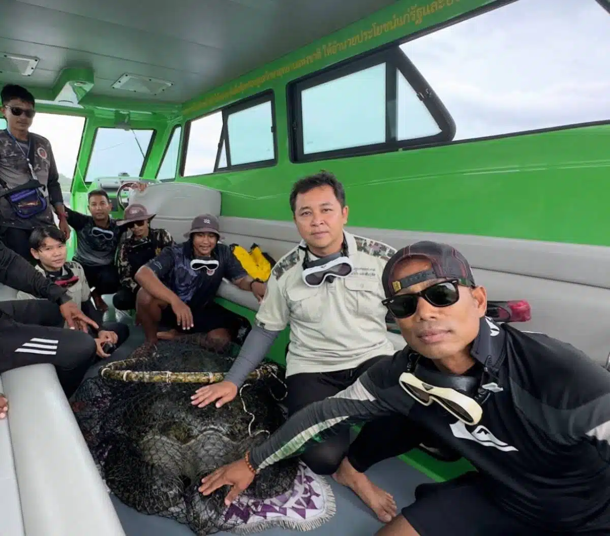 ทีมอุทยาน หมู่เกาะสิมิลัน ช่วยเต่าทะเลกินสายริสแบนด์