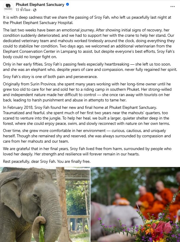 พังสร้องฟ้าเสียชีวิตแล้ว