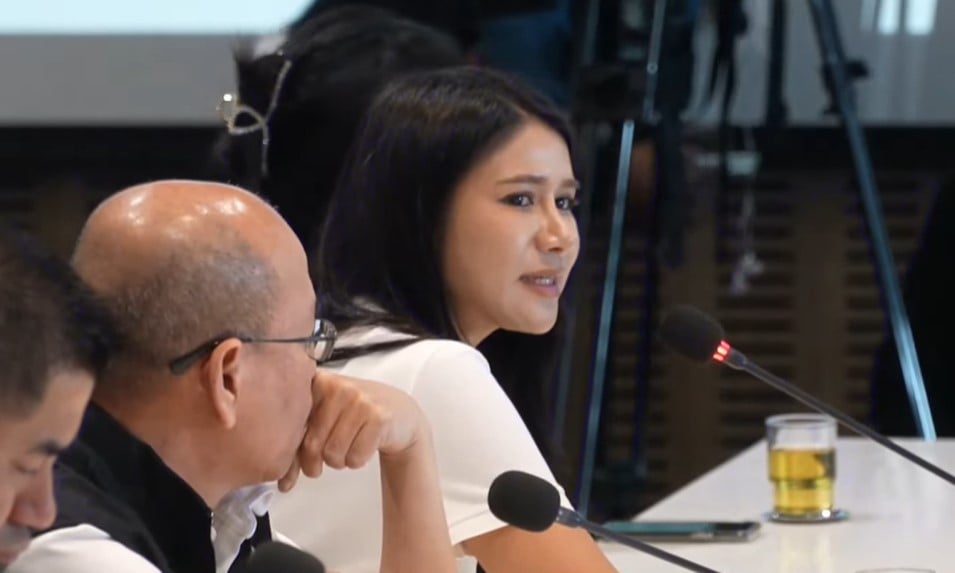 พิมพ์วิไล ในประชุมคณะกรรมาธิการฯ รัฐสภา