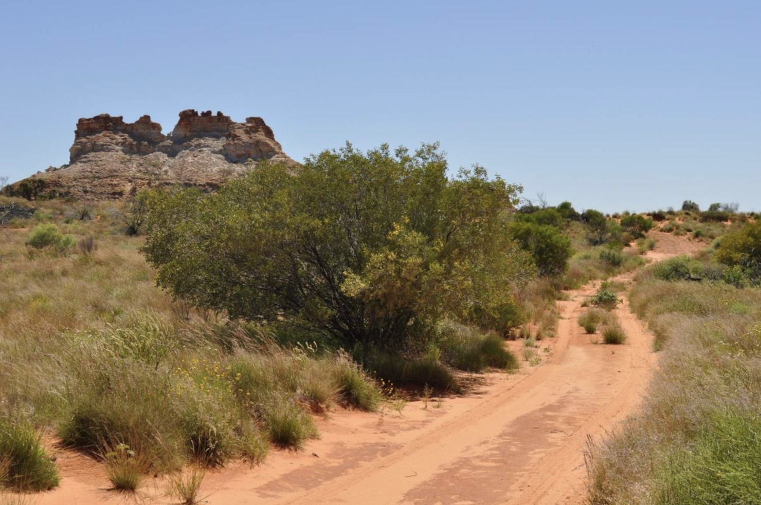 ตระกูล "โคลต์" สืบทอดการข่มขืนในครอบครัว 4 รุ่น เด็กพิการ-สื่อสารไม่ได้ สภาพความเป็นอยู่สุดแร้นแค้น เจ้าหน้าที่พบจิงโจ้นอนบนเตียงเด็ก