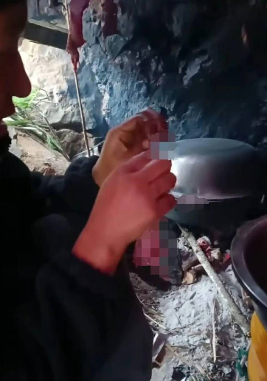 หนูที่จ้าว เถี่ยจูกินบนเกาะร้าง