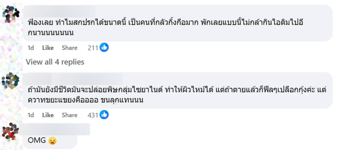 อวสานไอศกรีมเรนโบว์ (4)