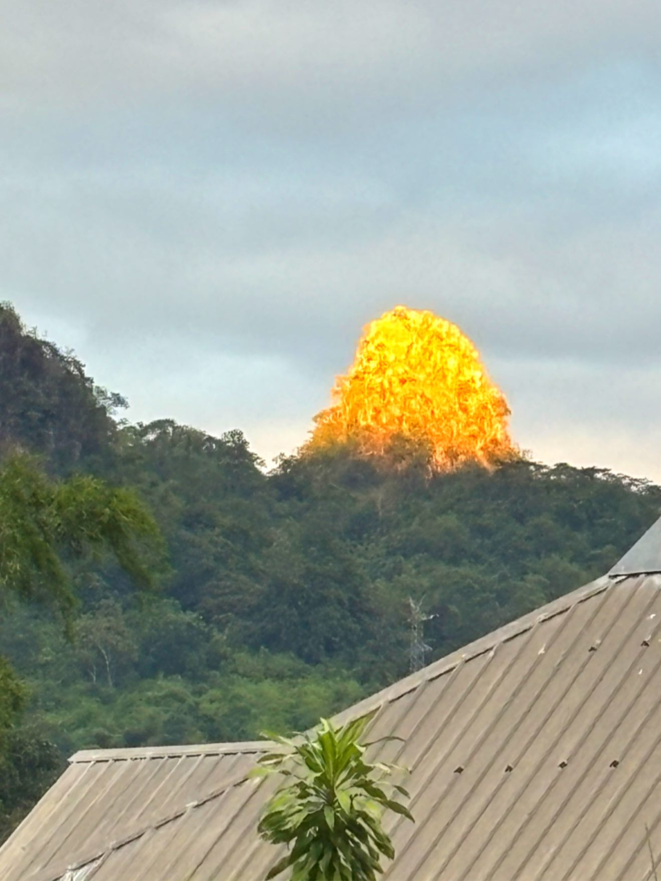 เฉลยสาเหตุ เขาแหลม เป็น สีทองอร่าม 2568