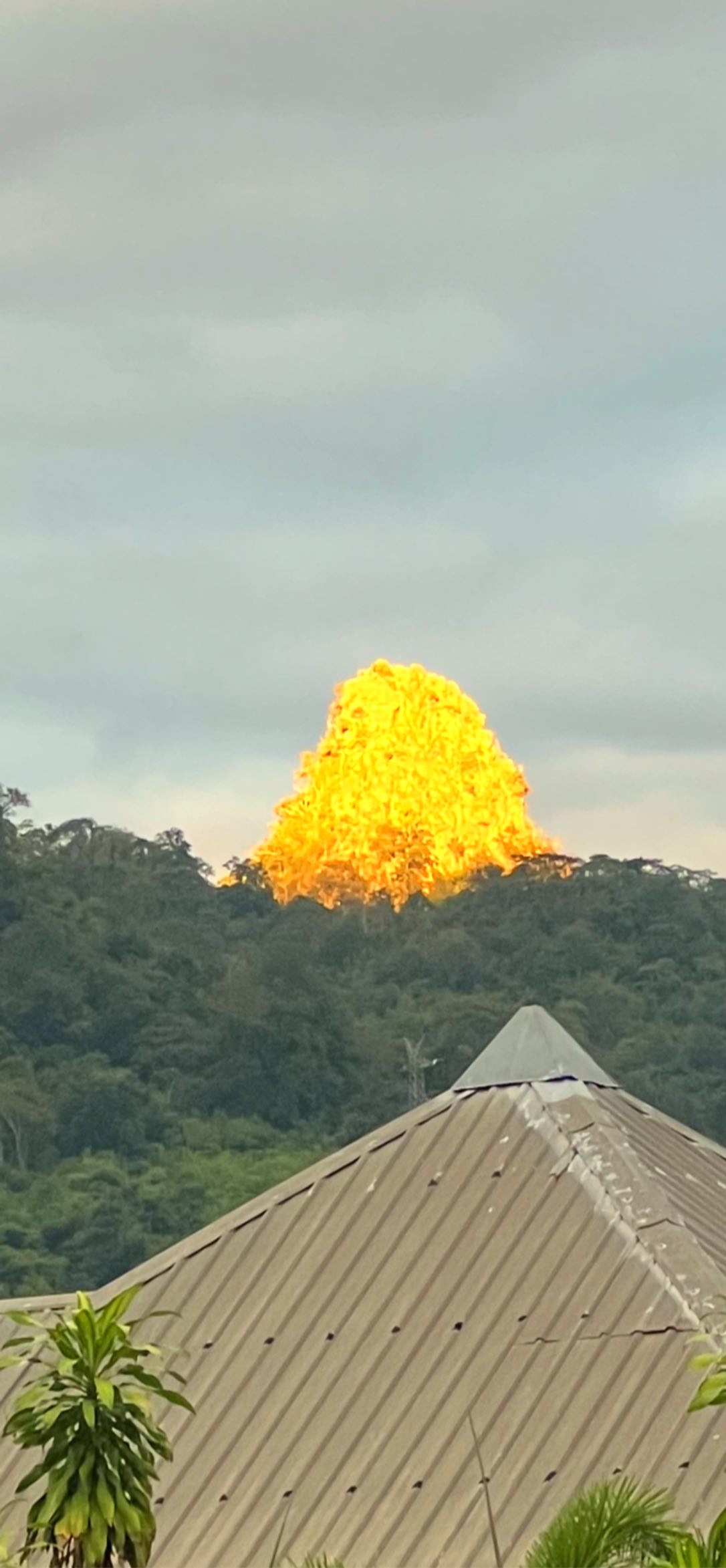 เฉลยสาเหตุ เขาแหลม เป็น สีทองอร่าม รู้แล้ว