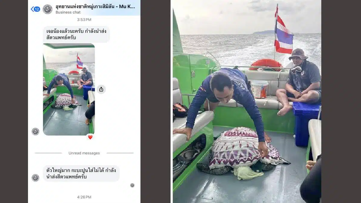 เต่าทะเลหมู่เกาะสิมิลัน