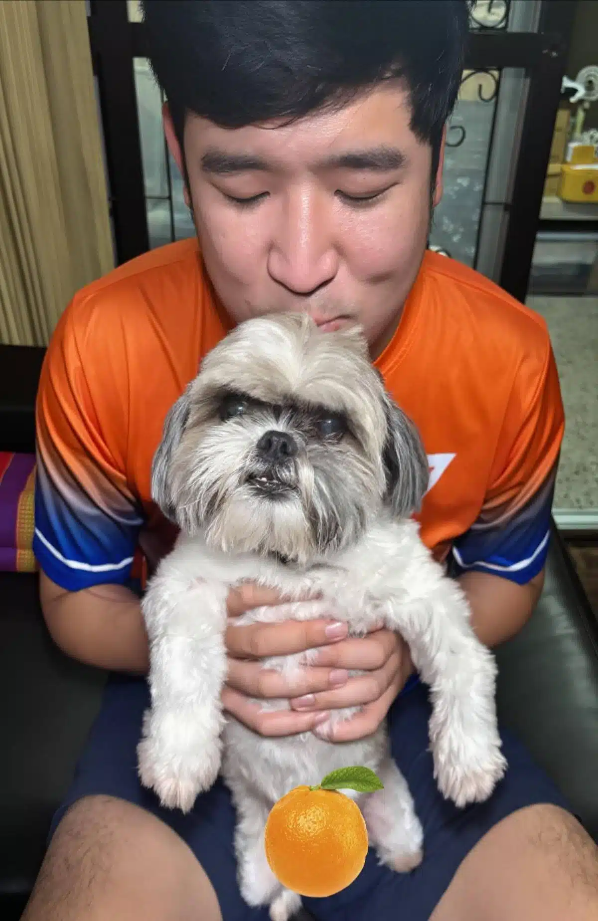 เท่าพิภพวางมือ