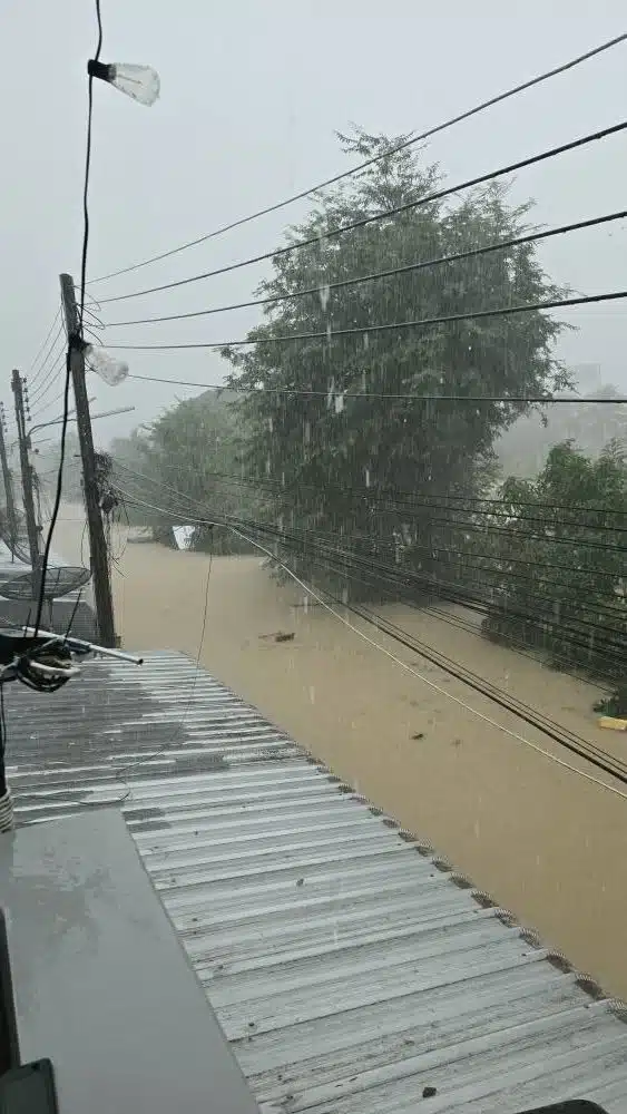 โพสต์ของแม่หมอไอซ์สร้างความตระหนักถึงภัยพิบัติ